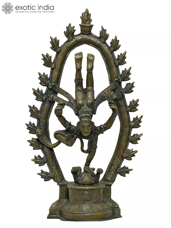 12" Shiva in Transcendent Tandava | Madhuchista Vidhana (Lost-Wax) | Panchaloha Bronze from Swamimalai
