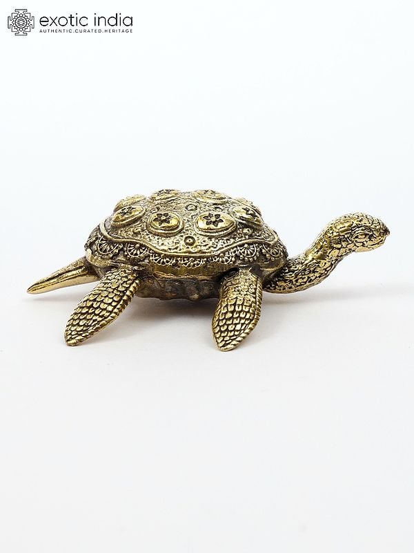 Small Vastu Tortoise | Brass Statue