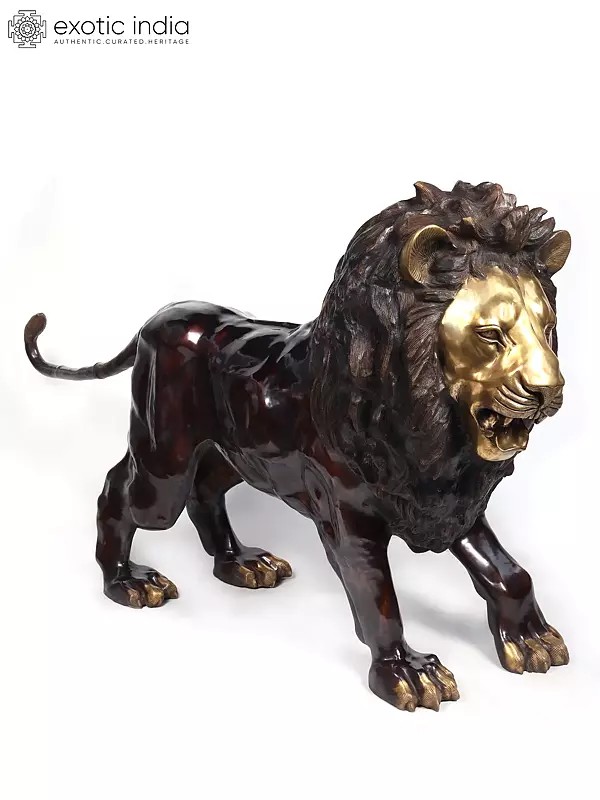 94" Large Hunting Lion Brass Statue | Made In India