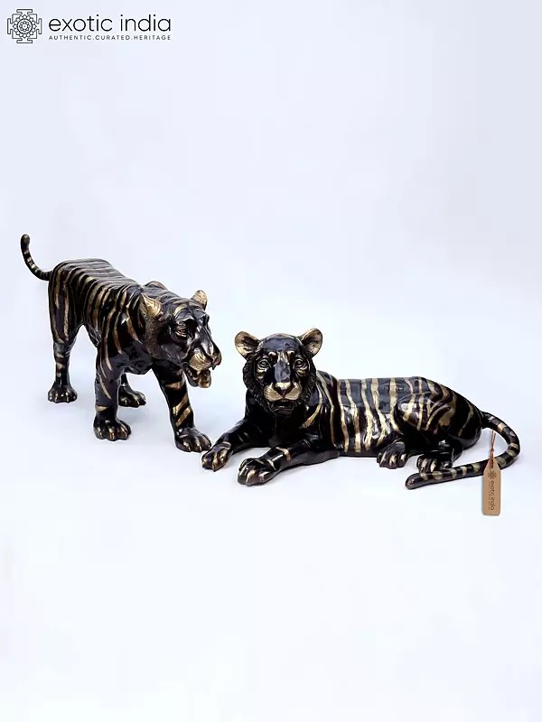 The Pair of Tiger in Resting Gesture | Brass Sculpture