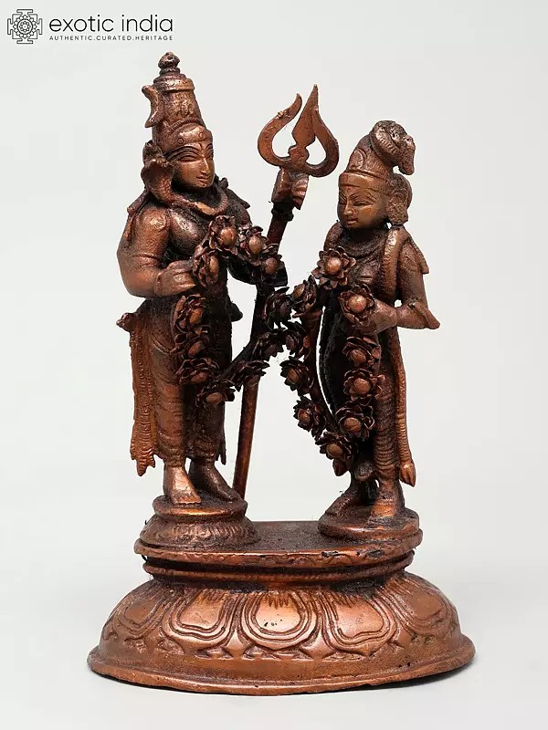 7" Shiva Parvati Kalyanam (Wedding of Lord Shiva and Parvati) | Copper Statue