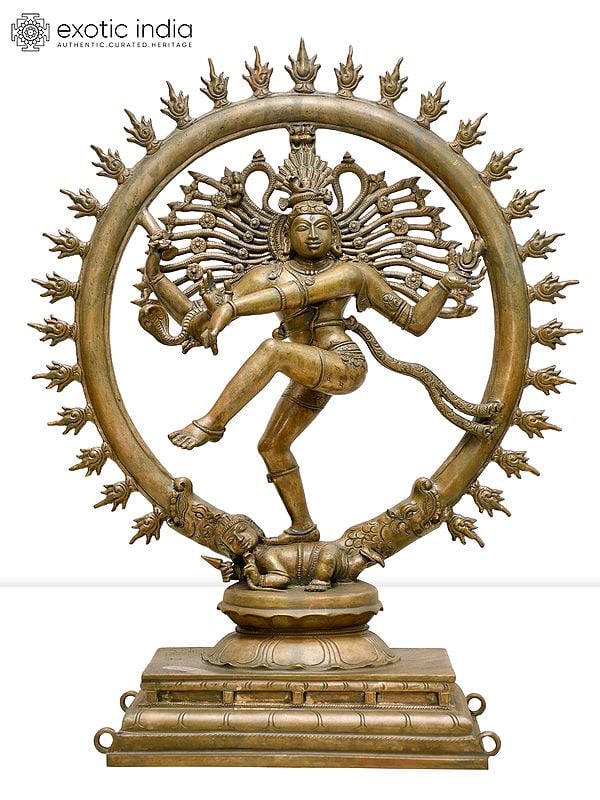 19" Nataraja (Dancing Lord Shiva) | Madhuchista Vidhana (Lost-Wax) | Panchaloha Bronze from Swamimalai