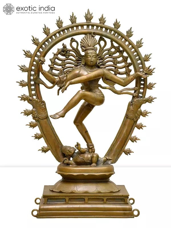 19" Nataraja - Dancing Lord Shiva | Madhuchista Vidhana (Lost-Wax) | Panchaloha Bronze from Swamimalai