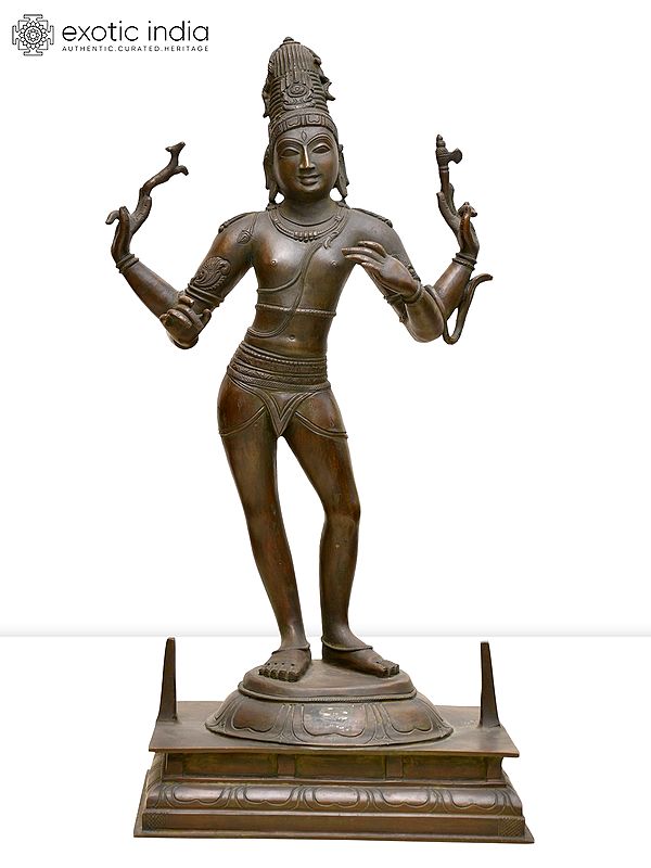 23" Lord Shiva as Pashupatinath | Madhuchista Vidhana (Lost-Wax) | Panchaloha Bronze from Swamimalai