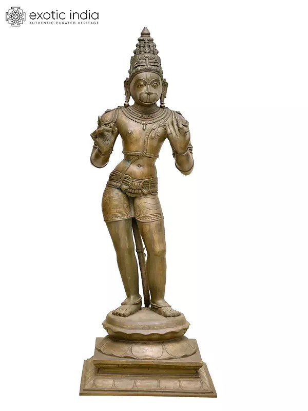 23" Standing Lord Hanuman | Madhuchista Vidhana (Lost-Wax) | Panchaloha Bronze from Swamimalai