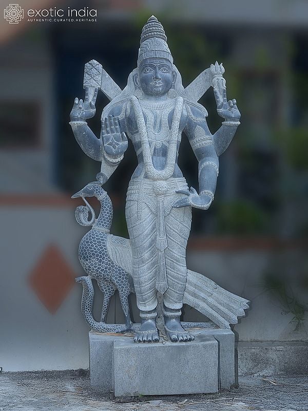 88" Large Four Arms Lord Subramanya Granite Stone Statue with Peacock