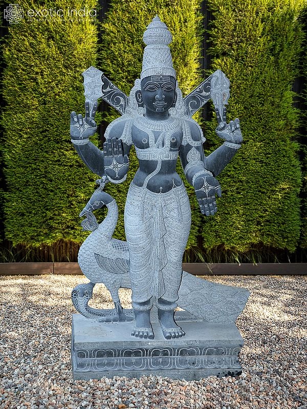 62" Kartikeya Stone Idol with Peacock | Murugan Black Granite Statue