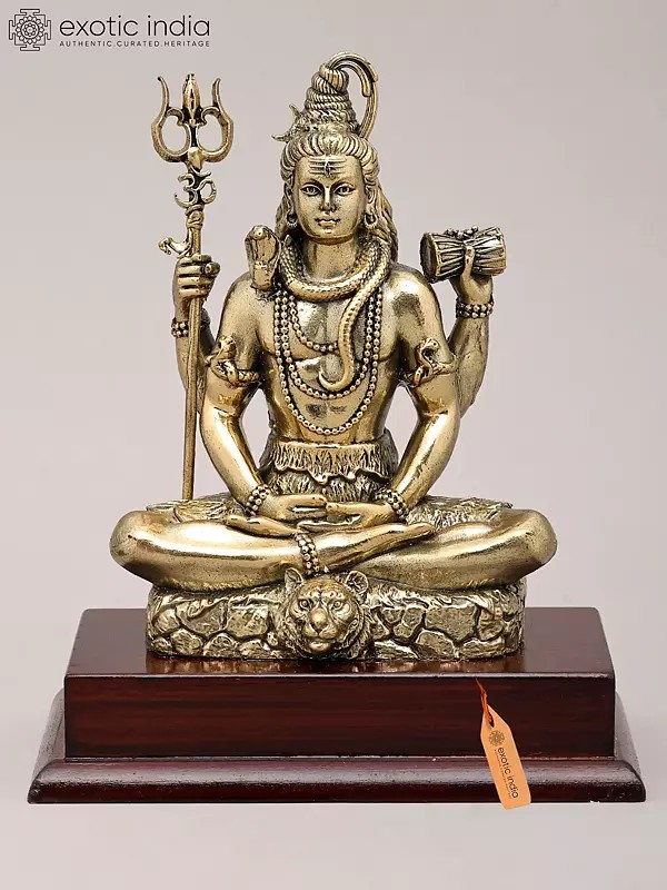 6" Superfine Chaturbhuja Lord Shiva Seated in Meditation | Brass Sculpture
