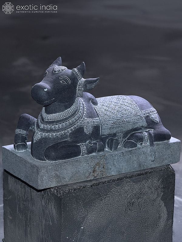 12" Nandi - Lord Shiva's Vahana | Hand Carved Granite Stone Statue