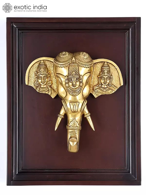 16" Tirupati Balaji (Venkateshvara) with Sridevi and Bhudevi Carved on Elephant Head | Wood Framed Brass Sculpture | Wall Hanging