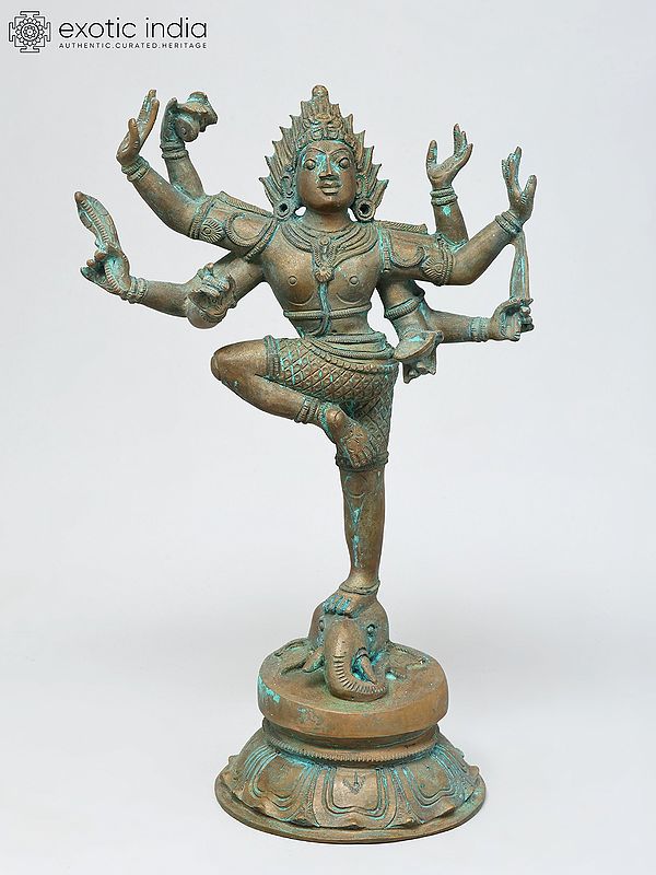 12" Lord Shiva As Gaja Samhara Standing in Gesture | Bronze Statue