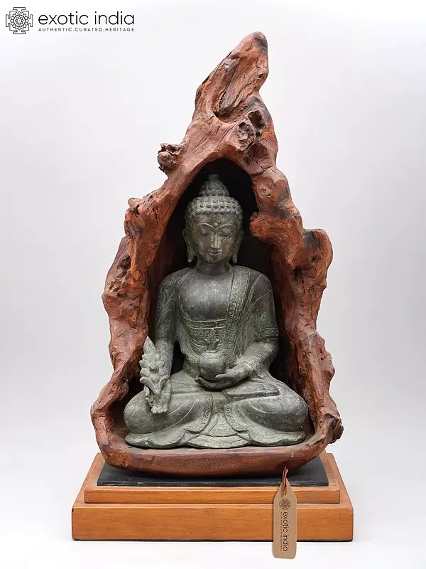 27" Brass Medicine Buddha in Wooden Grotto