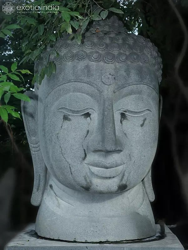 82" Large Sized Buddha Stone Head | Hand Carved | Granite Stone Statue