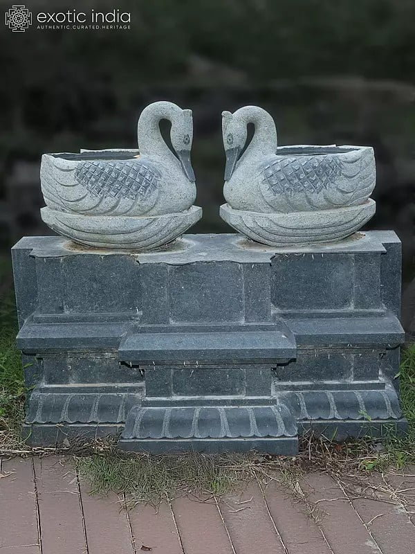 20" Beautiful Pair Of Swans In Stone | Hand Carved | Granite Stone Statue