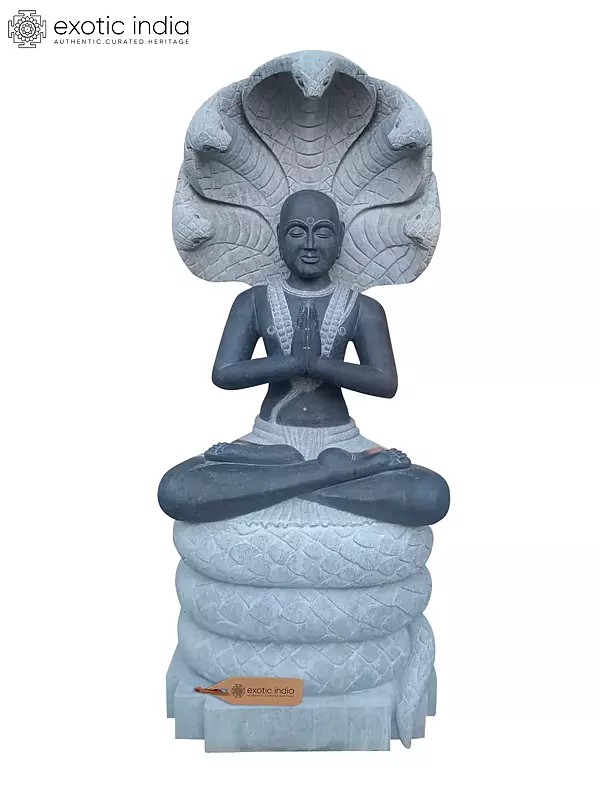 77" Large Namaste Patanjali Sculpture in Silent contemplation Beneath 5 Headed Serpent From Tamil Nadu | Black Granite Stone