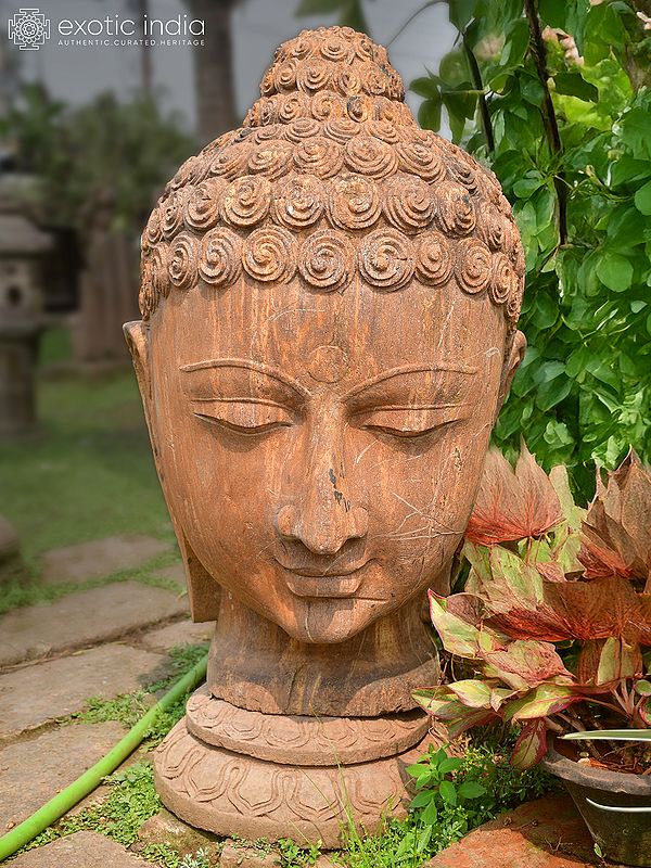 37" Great Lord Buddha Head | Sandstone Statue | Exquisite Handmade Indian Art