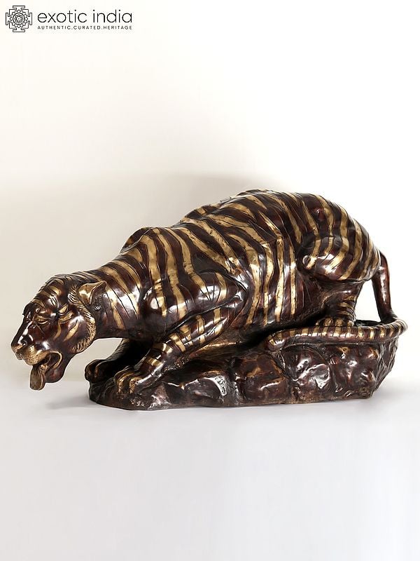 55" Large Brass Tiger Drinking Water | Home Decor | Animal Figurine