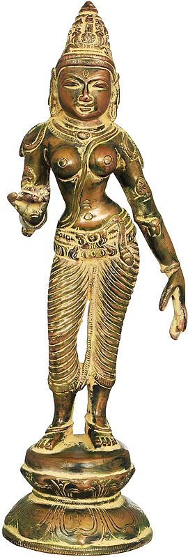 9" Standing Parvati in Brass | Handmade | Made in India