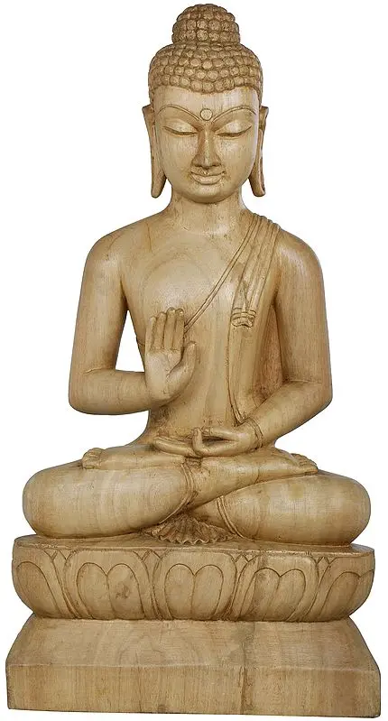 The Placid Gautama Buddha