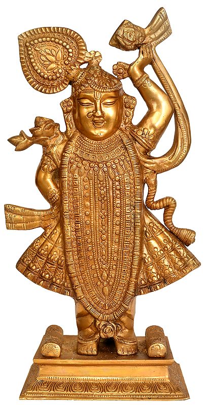 Shrinathji (Lord Krishna)