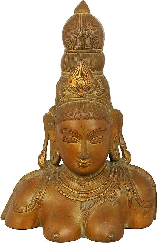 10" Goddess Parvati Bust In Brass | Handmade | Made In India