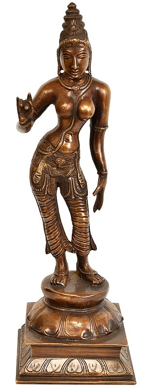 11" Goddess Uma Shivakasundari In Brass | Handmade | Made In India