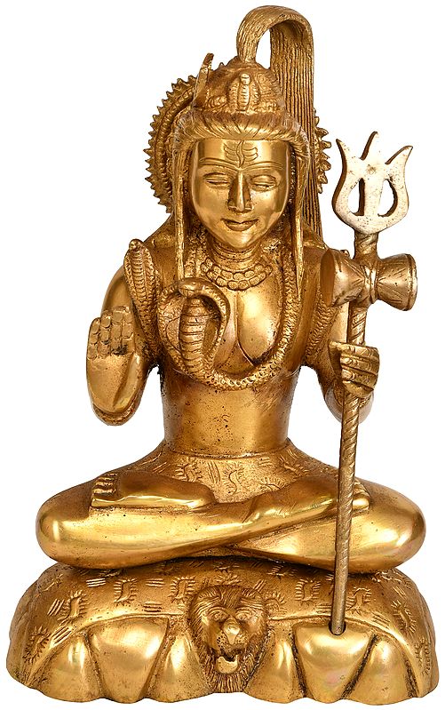 9" Shiva Seated on Lion Skin In Brass | Handmade | Made In India