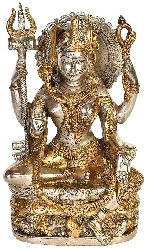 9" Four Armed Blessing Ardhanarishvara In Brass | Handmade | Made In India