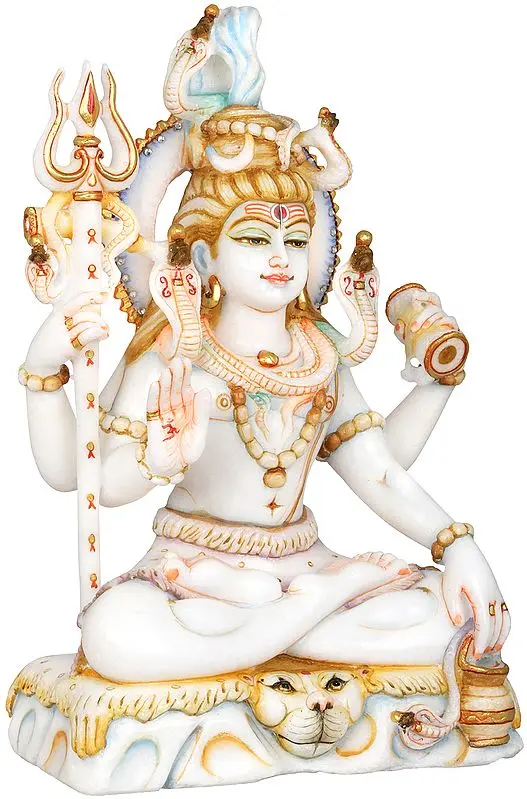 Blessing Lord Shiva