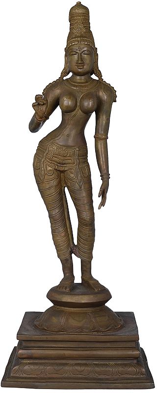 23" Standing Goddess Uma Brass Statue | Handmade Brass Idol