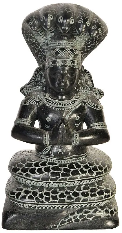Patanjali