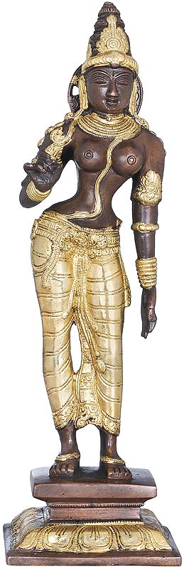13" Goddess Parvati Brass Statue in Triple Bent Posture | Handmade Brass Idol Decor