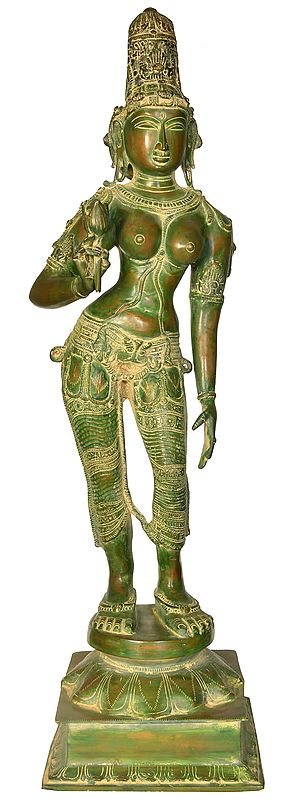 29" Standing Goddess Parvati (Large Size Uma Shivakamasundari) In Brass | Handmade | Made In India