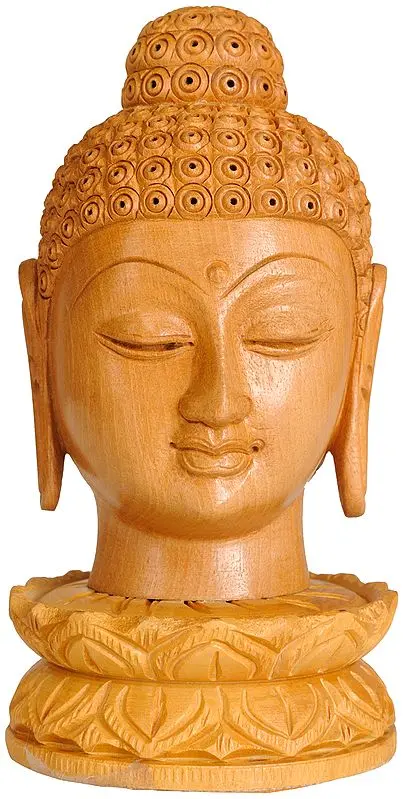 Buddha Head