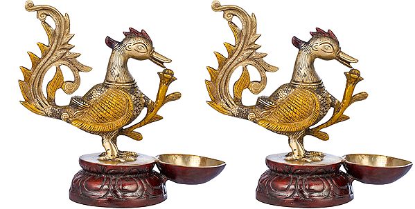 8" Peacock Lamp (Price Per Pair) in Brass | Handmade | Made in India