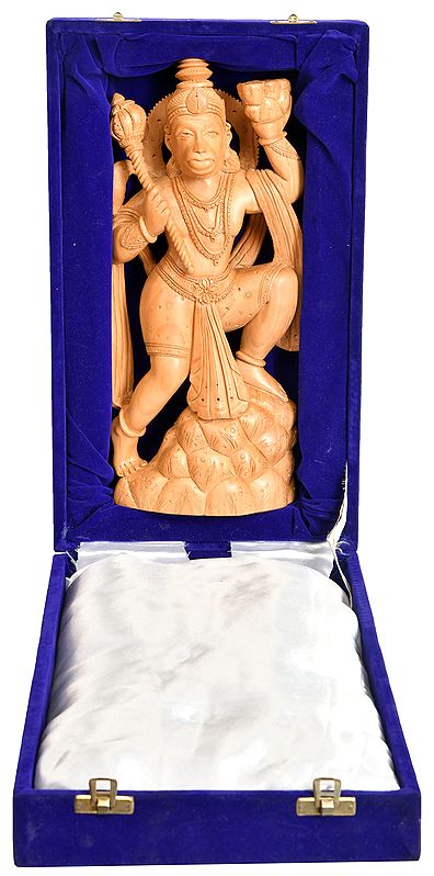 The Fair Lord Hanuman On The Mount Of Sanjeevani
