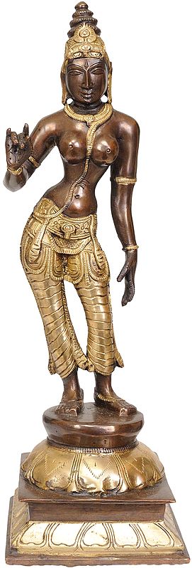 12" Goddess Parvati in the Triple Bent Posture In Brass | Handmade | Made In India