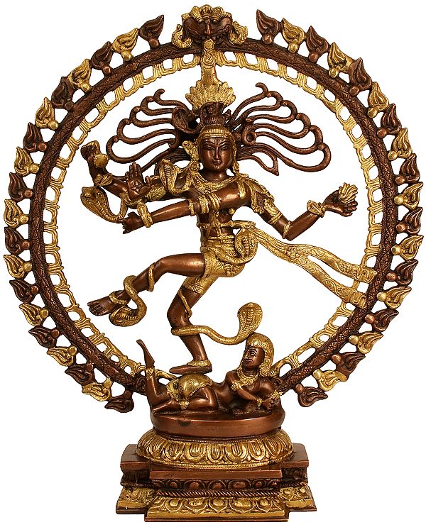 20" Nataraja Idol in Brown and Golden Hues | Handmade Brass Statue | Made in India