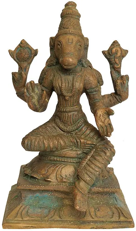 Goddess Varahi