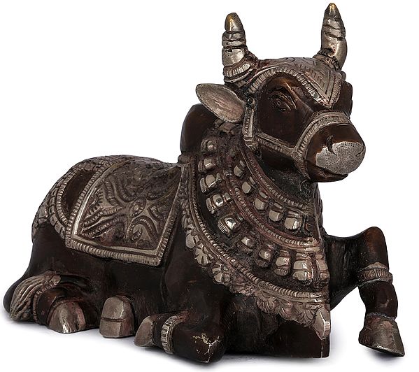 5" Brass Nandi Statue - The Vehicle of Lord Shiva | Handmade | Made in India