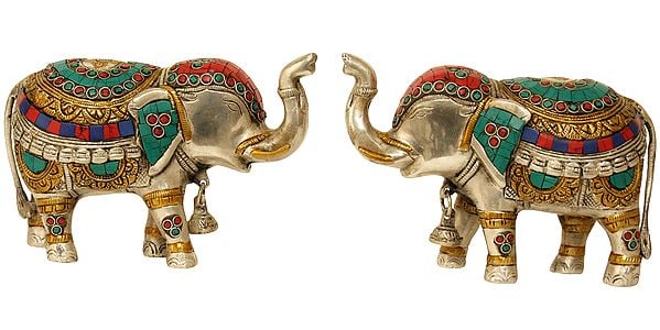 Elephant Pair with Bells and Upraised Trunks (Supremely Auspicious According to Vastu)