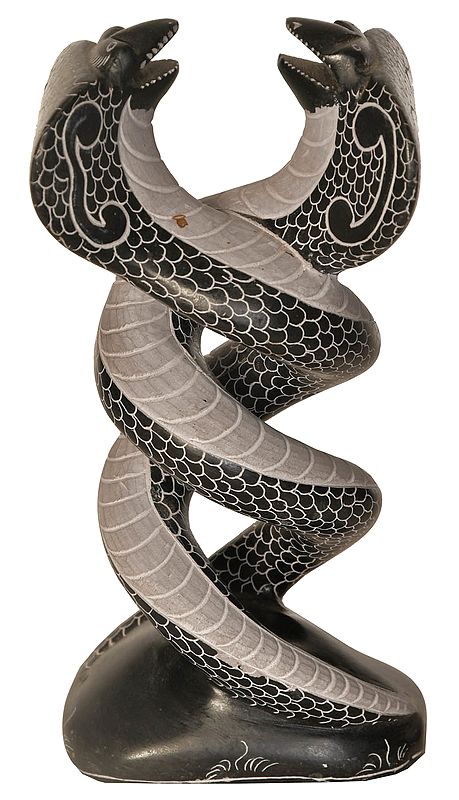 Entwined Serpents