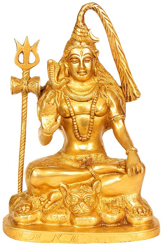 9" Gangadhara Shiva In Brass | Handmade | Made In India