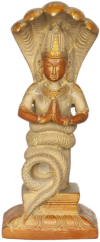 8" Patanjali Brass Statue | Handmade | Made in India