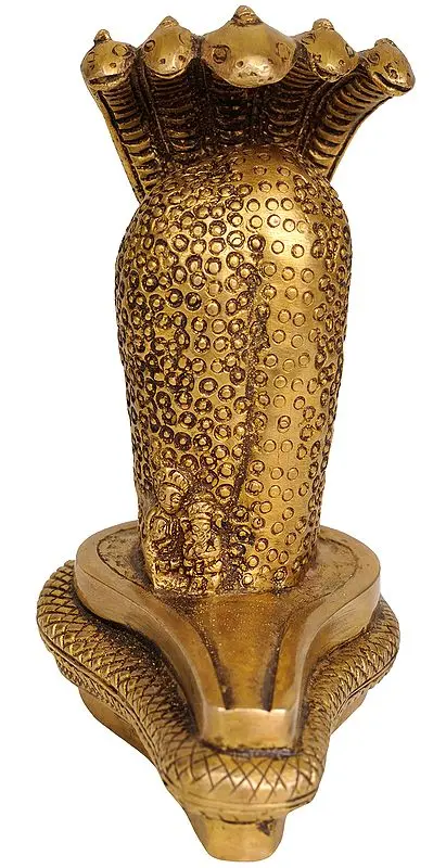Amarnath Linga