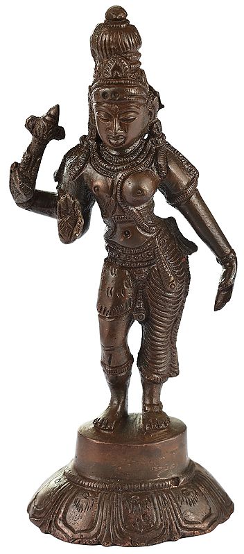 6" Ardhanarishvara Statue (Shiva Shakti) In Brass | Handmade | Made In India