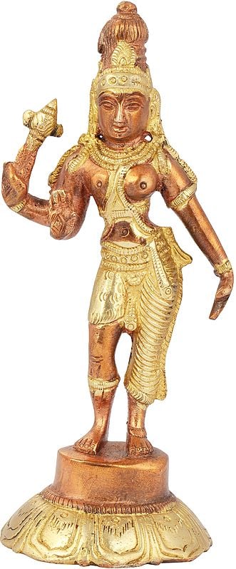 6" Ardhanarishvara Statue (Shiva Shakti) In Brass | Handmade | Made In India