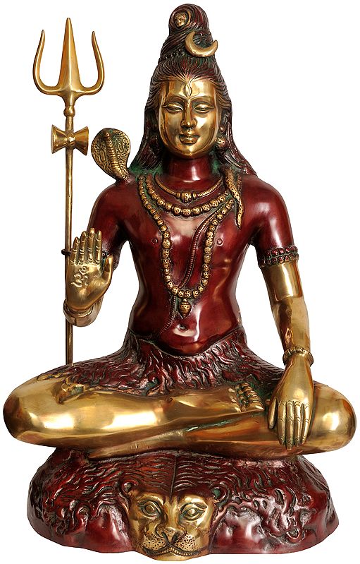 22" Mahayogi Shiva Seated on Lion Skin In Brass | Handmade | Made In India
