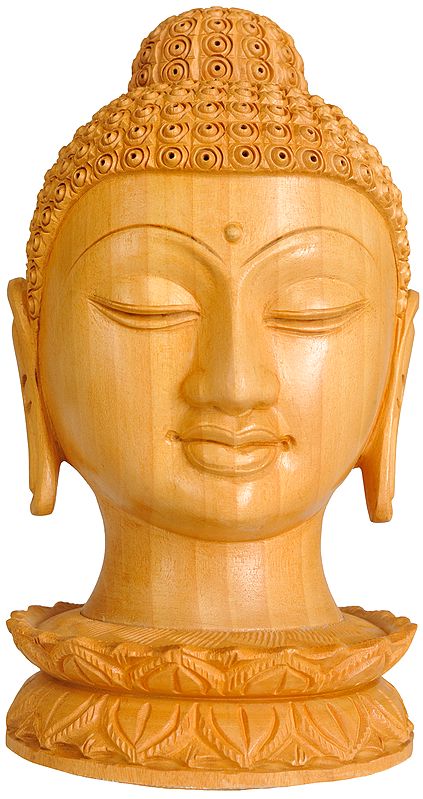 Buddha Head Wooden Idol Carved in Kaima Wood