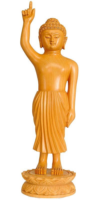 Worlds Above and Worlds Below, There's No One Like Me (Buddha's Birth)